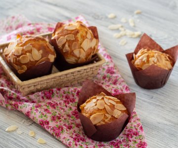 Ricotta and lemon muffins