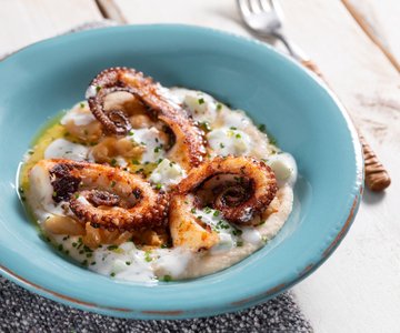 Toasted octopus with bean hummus and tzatziki sauce