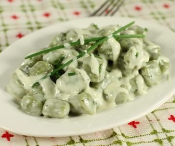 Spinach dumplings in taleggio sauce