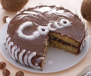 Coconut and Nutella Cake