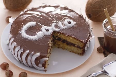 Coconut and Nutella Cake
