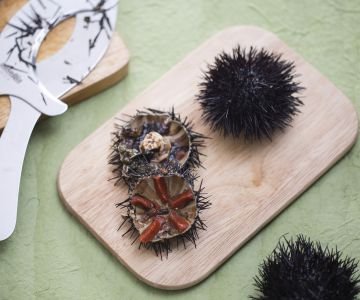 How to clean sea urchins
