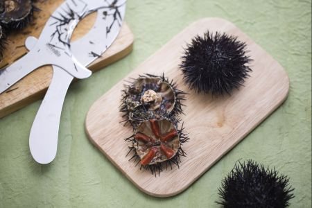 How to clean sea urchins