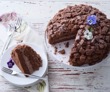 Chocolate Mimosa Cake
